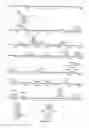 Fig. 28 - USE OF PROTEINS AND PEPTIDES ENCODED BY THE GENOME OF A NOVEL SARS-ASSOCIATED CORONAVIRUS STRAIN