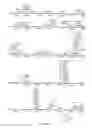 Fig. 43 - USE OF PROTEINS AND PEPTIDES ENCODED BY THE GENOME OF A NOVEL SARS-ASSOCIATED CORONAVIRUS STRAIN