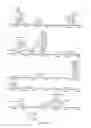 Fig. 47 - USE OF PROTEINS AND PEPTIDES ENCODED BY THE GENOME OF A NOVEL SARS-ASSOCIATED CORONAVIRUS STRAIN