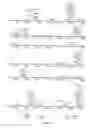 Fig. 49 - USE OF PROTEINS AND PEPTIDES ENCODED BY THE GENOME OF A NOVEL SARS-ASSOCIATED CORONAVIRUS STRAIN