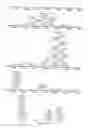 Fig. 80 - USE OF PROTEINS AND PEPTIDES ENCODED BY THE GENOME OF A NOVEL SARS-ASSOCIATED CORONAVIRUS STRAIN