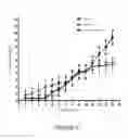 Fig. 07 - Pharmaceutical composition and use of the pharmaceutical composition for the treatment, prophylaxis or prevention of neoplastic diseases in humans and animals