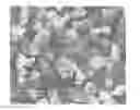 Fig. 01 - NOVEL  METHOD  FOR PREPARING  COMPOSITE  PARTICLE  COMPRISING  SURFACE  TREATMENT  LAYER  OF  SUNSCREENING  AGENT  FORMED  THEREON