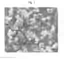Fig. 02 - NOVEL  METHOD  FOR PREPARING  COMPOSITE  PARTICLE  COMPRISING  SURFACE  TREATMENT  LAYER  OF  SUNSCREENING  AGENT  FORMED  THEREON
