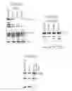 Fig. 08 - Cytotoxic agents