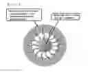 Fig. 02 - COMPLEX, MULTILAYER USING THE SAME, AND DEVICE COATED WITH THE MULTILAYER