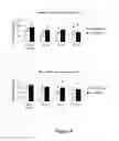 Fig. 09 - Small-molecule TNF modulator to reduce the side effects of chemotherapy and radiotherapy