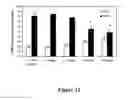 Fig. 13 - Small-molecule TNF modulator to reduce the side effects of chemotherapy and radiotherapy