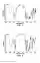 Fig. 05 - Structured organic films