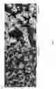 Fig. 04 - Formed building materials