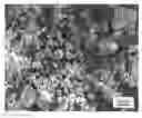 Fig. 01 - Electrode and electrolyte materials for batteries