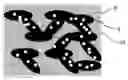 Fig. 01 - POLYMER ELECTROLYTE FUEL CELL