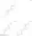 Fig. 48 - Polymerizable compounds comprising a polyalicylic structure element