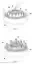 Fig. 07 - PLANTING TOY KIT