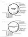 Fig. 02 - METHOD OF SCREENING FOR INSULIN SECRETION-POTENTIATING AGENTS