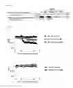 Fig. 05 - METHOD OF SCREENING FOR INSULIN SECRETION-POTENTIATING AGENTS