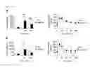 Fig. 12 - METHOD OF SCREENING FOR INSULIN SECRETION-POTENTIATING AGENTS