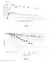 Fig. 03 - COMPOSITIONS, METHODS, AND KITS FOR (MIS)LIGATING OLIGONUCLEOTIDES