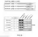 Fig. 09 - Cell proliferation inhibitor