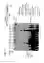 Fig. 22 - Recombinase polymerase amplification