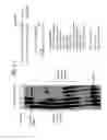 Fig. 28 - Recombinase polymerase amplification