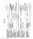 Fig. 32 - Recombinase polymerase amplification