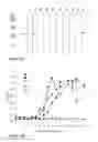 Fig. 03 - Equine parasite detection