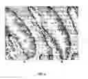 Fig. 03 - Antibody cocktail