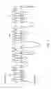 Fig. 02 - Neuropeptide release assay for sodium channels