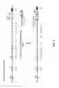 Fig. 06 - Neuropeptide release assay for sodium channels