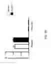 Fig. 13 - Neuropeptide release assay for sodium channels