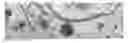 Fig. 01 - METHODS FOR IN VITRO CANCER CELL DETECTION, DIAGNOSIS AND THERAPY USING MULTIDOMAIN BIOTAGS
