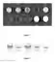 Fig. 02 - METHODS FOR IN VITRO CANCER CELL DETECTION, DIAGNOSIS AND THERAPY USING MULTIDOMAIN BIOTAGS