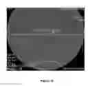 Fig. 13 - METHODS FOR IN VITRO CANCER CELL DETECTION, DIAGNOSIS AND THERAPY USING MULTIDOMAIN BIOTAGS