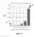 Fig. 14 - METHODS FOR IN VITRO CANCER CELL DETECTION, DIAGNOSIS AND THERAPY USING MULTIDOMAIN BIOTAGS