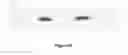 Fig. 18 - METHODS FOR IN VITRO CANCER CELL DETECTION, DIAGNOSIS AND THERAPY USING MULTIDOMAIN BIOTAGS