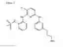 Fig. 04 - METHODS FOR THE IDENTIFICATION OF KINASE INTERACTING MOLECULES AND FOR THE PURIFICATION OF KINASE PROTEINS