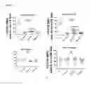 Fig. 04 - Basophil Activation Based Allergy Diagnostic Test