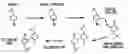 Fig. 01 - Methods for obtaining molecules with reduced immunogenicity