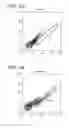Fig. 02 - Ex host maturation of germline stem cells