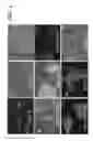 Fig. 06 - Ex host maturation of germline stem cells