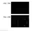 Fig. 47 - Ex host maturation of germline stem cells