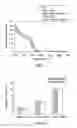 Fig. 06 - Photovoltaic device and method for making