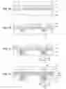 Fig. 05 - SEMICONDUCTOR DEVICE AND MANUFACTURING METHOD THEREFOR