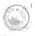 Fig. 07 - FLYING DISC WITH PRINTABLE LAMINATE SURFACING