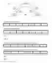 Fig. 02 - Channel randomization for backoff efficiency improvement