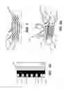 Fig. 05 - Putter heads and putters