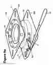 Fig. 11 -  gym
