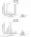 Fig. 07 - Method and compositions for inhibiting tumorigenesis
