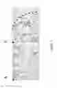 Fig. 04 - Method and device for protein delivery into cells